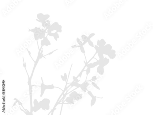 Plant leaves shadow overlay on transparent background
