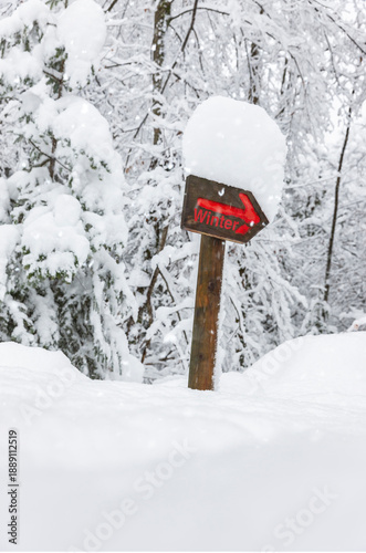 Wegweiser mit der Aufschrift winter an einem tief verschneiten Waldweg