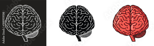 Human brain illustration set in black and red styles, anatomy neuroscience symbol icon for medical education design