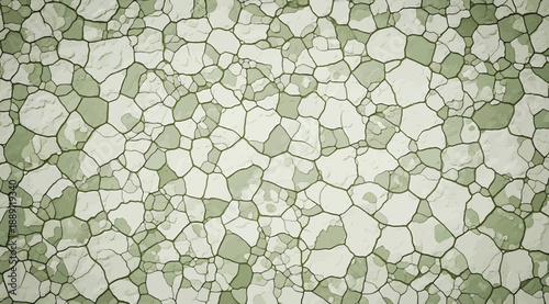 Vector illustration of irregular interconnected green mosaic shapes resembling cellular or plant tissue structures, creating decorative scientific texture patterns for biology, materials science, ecol