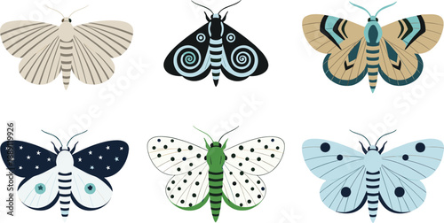Set of colorful moth butterflies vector illustration, decorative night insect collection for nature and wildlife design