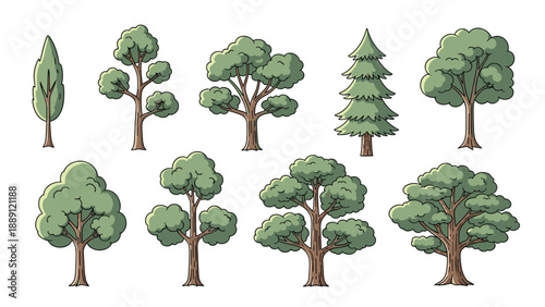 Collection of detailed tree illustrations features various shapes and sizes from slender poplars to broad oaks for nature education.