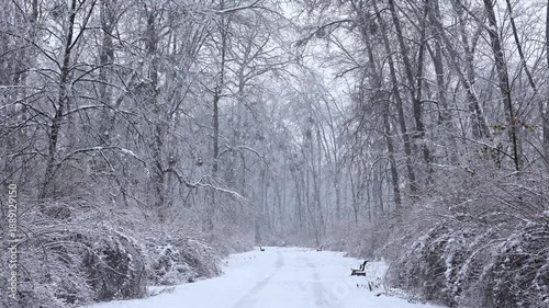 Beautiful empty snowy road in winter park with frozen ice covered trees