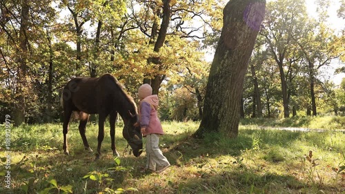 Little girl in warm jacket approaching and gently stroking a dark horse in sunny autumn forest