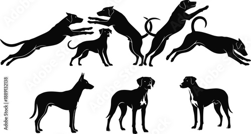 Black dog silhouettes in dynamic and static poses, showcasing canine motion, breed diversity, and pet behavior in minimalist animal design for creative use