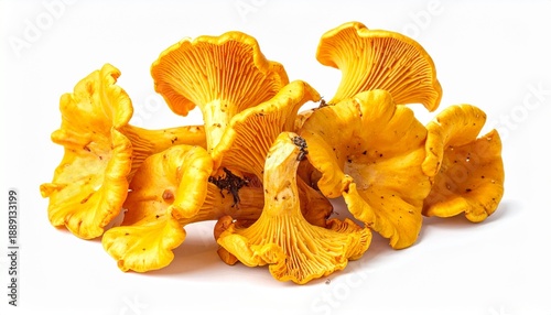 Pfifferlinge isoliert