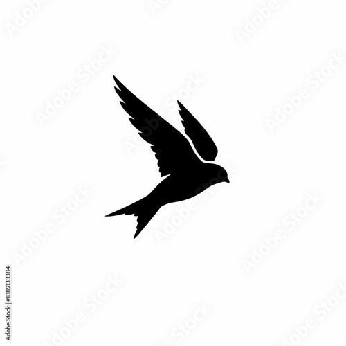 Silhouette of a swift bird in flight with wings spread wide.