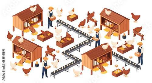 Isometric view of a chicken farm with hens, coops, eggs, and conveyor belts, illustrating the process of egg collection, sorting, and packaging in a modern setup.
