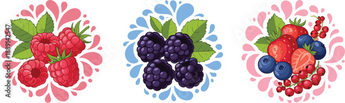Raspberry, blackberry, mixed berries, splash background, fruit composition, colorful design, healthy food concept, nature freshness, flat vector illustration