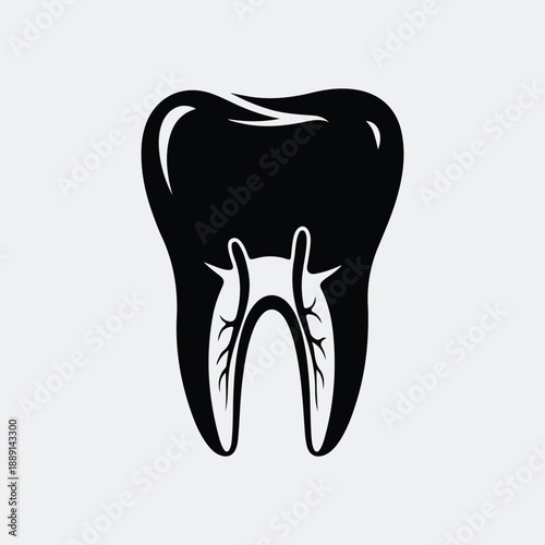 Human molar tooth root canal internal anatomy dental care silhouette vector illustration