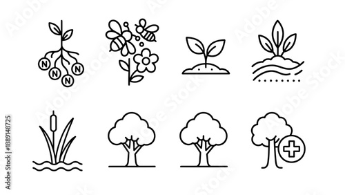 A collection of simple line drawings depicting various plants and trees