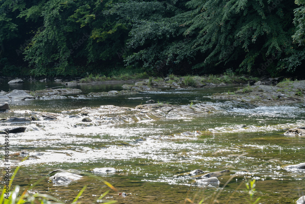 Obraz premium Summer forest landscape with a mountain riverbank. Lush green trees, clear flowing water, and natural sunlight create a serene and peaceful outdoor scene in a pristine wilderness setting.
