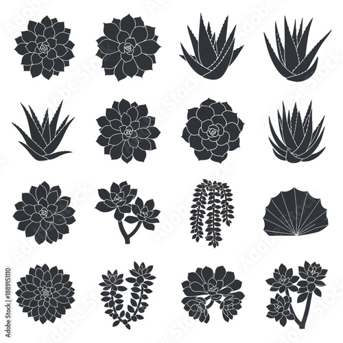 Black succulent plant vector icons set, aloe vera, echeveria, sempervivum, agave, crassula, sedum, haworthia, isolated on white
