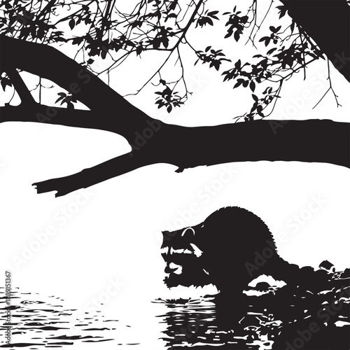 Silhouette of raccoon drinking water from a stream under tree branches raccoon silhouette animal des