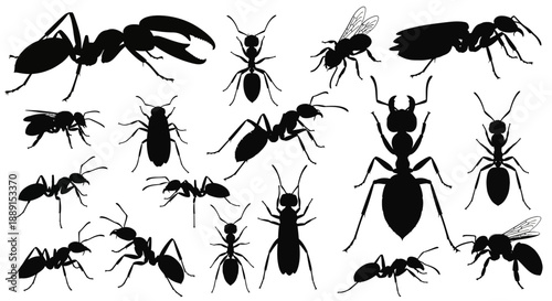 Ants vector silhouette set. Black insect collection, various ant species, bug icons, pest control illustration isolated on white