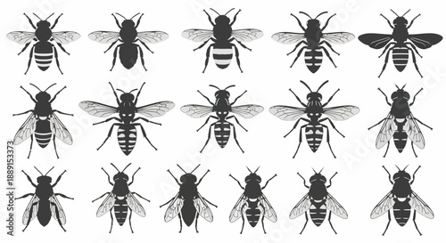 Black Silhouette Vector Set of Wine Bottles, Decanters, and Glasses