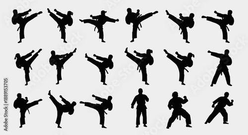 Black Silhouette Vector Set of Wine Bottles, Decanters, and Glasses