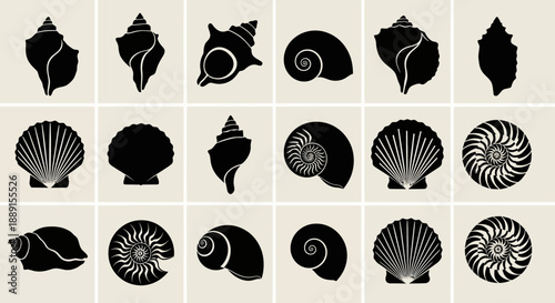 Black Silhouette Seashell Vector Icons Set on Light Background