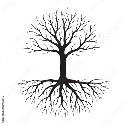 Monochrome detailed silhouette of mighty deciduous tree featuring strong trunk and complex intertwined root network representing strength permanence life energy