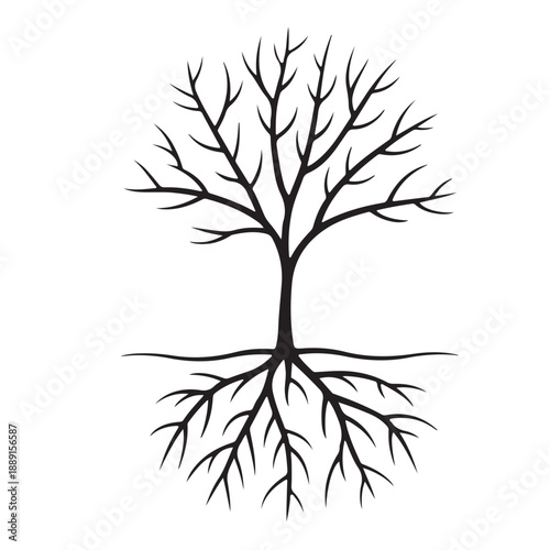 Symmetrical line art representation of bare tree skeleton showing branches without foliage above ground and extended root system below symbolizing nature cycle seasons winter fragility and connection 