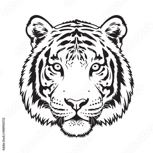 Detailed black and white illustration of fierce tiger head face showing powerful wild cat animal majestic presence and striped markings clearly
