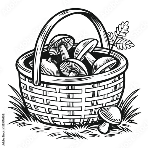 A detailed black and white illustration of a woven basket filled with mushrooms silhouette high quality