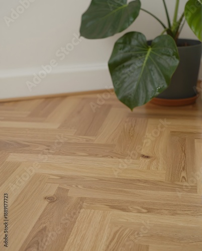 Close-Up View of Parquet Wood Flooring with Leafy Indoor Plant in Bright Sunlit Room