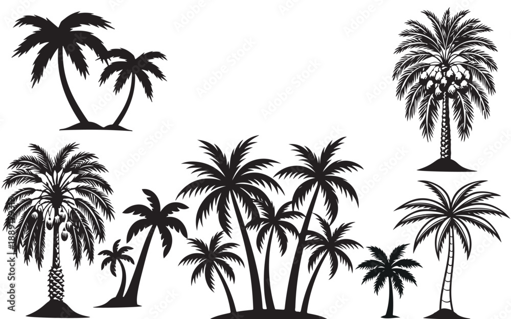 Naklejka premium palm tree silhouettes