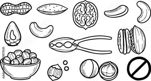 Black and white line art illustration showing various nuts and seeds with nutcracker tool and bowl close up detailed style