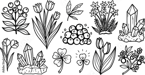 Hand drawn black line art of plants flowers crystals berries leaves and clovers arranged in decorative pattern on white background