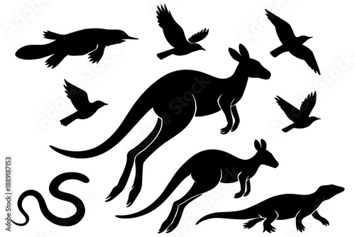 kangaroo vector illustration,
Kangaroo Koala Emu Crocodile Australian Animal Silhouettes
