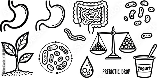 Monochrome line art gut microbiome illustration with prebiotic drop, yogurt cup, bacteria, scales, and growing plant design