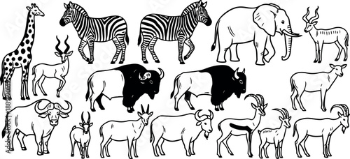 Black and white line art collection of african wild animals including giraffe zebra elephant bison and antelope in various poses and angles