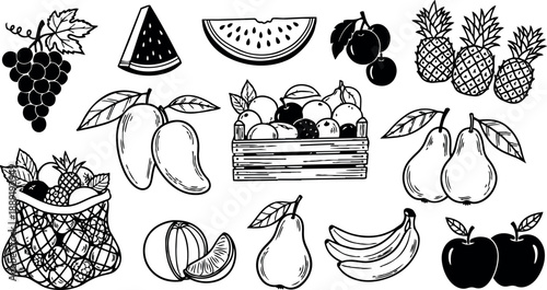 Hand drawn black and white fruit illustrations including grapes watermelon mangoes pineapple peaches pears bananas apples in sketch style