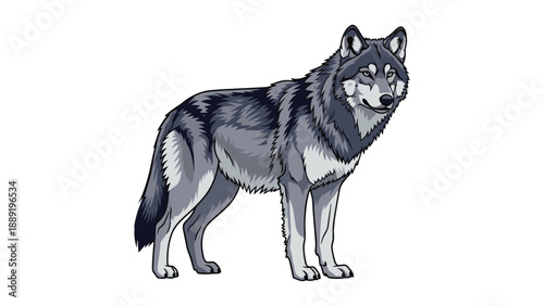 Proud grey wolf standing in a side profile view showing detailed fur texture and wild features on a simple white background.