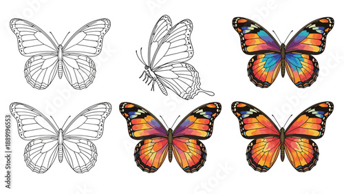 Beautiful butterfly collection featuring detailed monarch butterflies in color versions and black and white line art outlines for coloring.