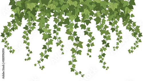 Decorative border featuring hanging ivy vines with lush green leaves of different sizes against a clean white background.