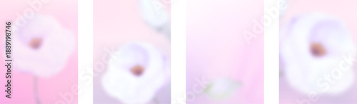 Abstract blurred leaf inspired backdrop with a gentle gradient mesh illustration used as a cover.