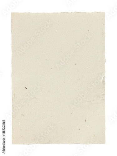 Beige Textured Organic Fiber Paper Background features natural grain and rough deckle edges on cream surface.