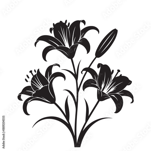 Silhouette bouquet of lily flowers drawing decorative plant with stem and leaves detailed botanical floral element vector illustration isolated on transparent background