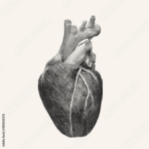Human heart anatomy model isolated on white background. Retro vector grunge punk halftone dotted collage cut-out element in Y2K style for mixed media design, anatomy concept and abstract art.