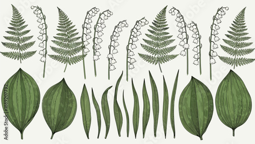 Collection of various green leaves and ferns arranged in a pattern, illustrating different types of foliage and vegetation, showcasing nature's diversity in a visually appealing way