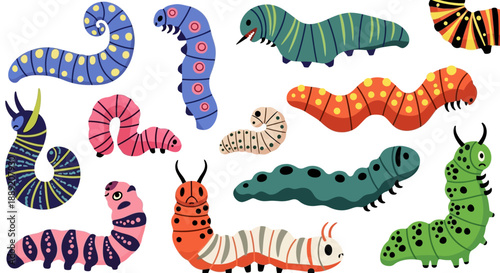 Colorful caterpillars illustration on white background showcasing various species and patterns from different viewpoints