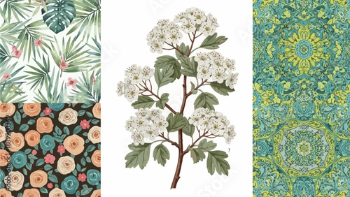 Collection of floral patterns and botanical illustrations featuring moli, foliage, and decorative designs from various viewpoints.