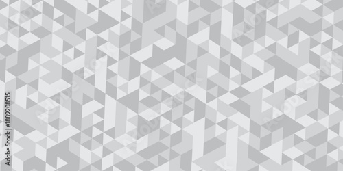 Abstract white polygon mesh geometric design texture.  Modern lowpoly backdrop vector illustration template. Minimal creative polygon Mosaic triangle overlap texture background. Diamond triangle wall.