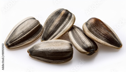 Wallpaper Mural Sunflower Seeds Isolated On White Torontodigital.ca