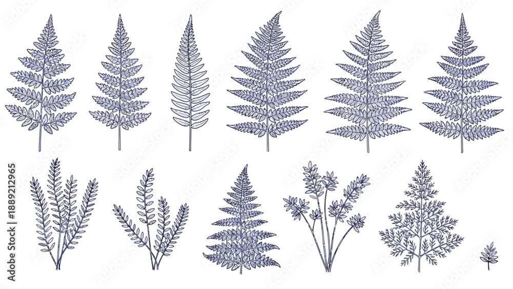 Obraz premium Collection of various foliage illustrations including ferns and leaves in a monochrome blue tone, arranged in a grid pattern on a white background, viewed from directly above.