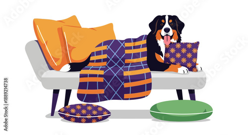 A bernese mountain dog resting comfortably on a sofa with pillows and blankets in a cozy living room setting