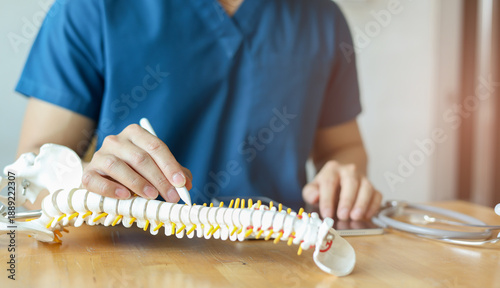 close up physical therapist hand pointing on human skeleton at back to advise and consult to patient to treatment in medical clinic office for healthcare concept
