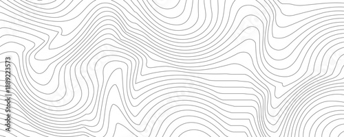 Topography background. Vector banner. Topography map background. Vector geographic contour map. Background of the topographic map.